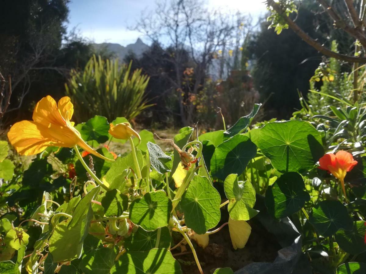 Villa Nanin Tilcara Dış mekan fotoğraf